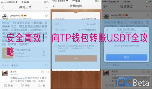 安全高效！向TP钱包转账USDT全攻略