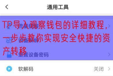 TP导入观察钱包的详细教程，一步步教你实现安全快捷的资产转移