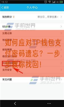 如何应对TP钱包支付密码遗忘？一步步教你找回！