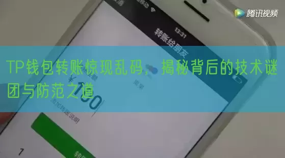 TP钱包转账惊现乱码，揭秘背后的技术谜团与防范之道