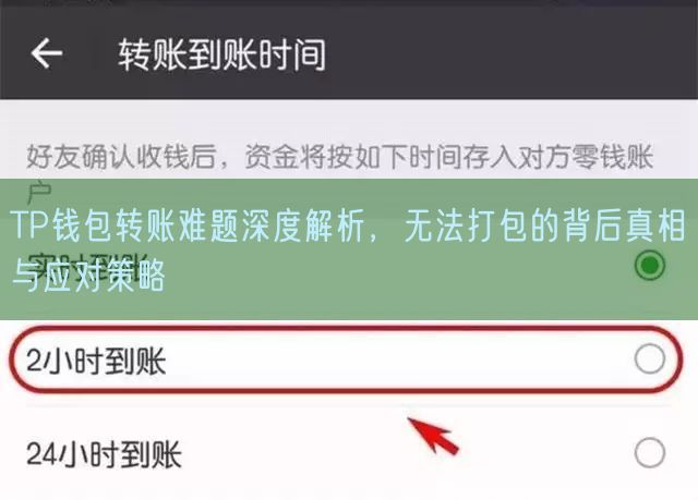 TP钱包转账难题深度解析，无法打包的背后真相与应对策略