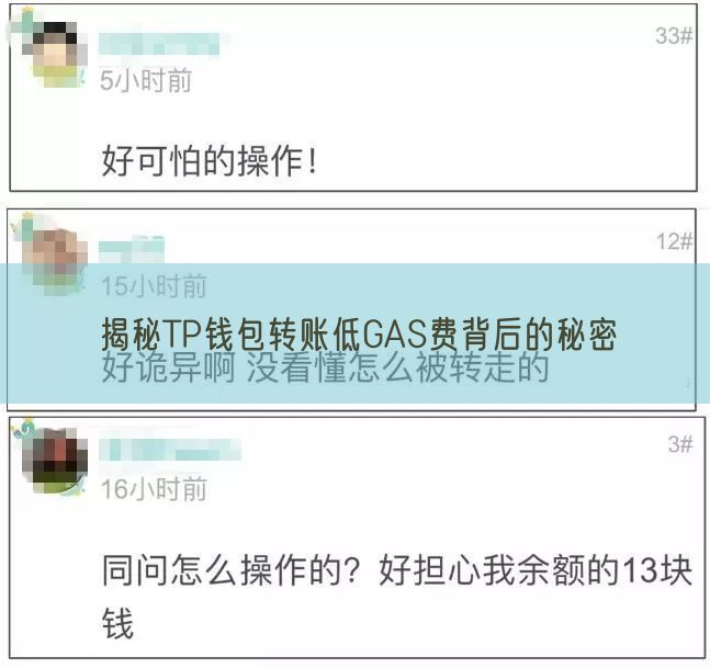 揭秘TP钱包转账低GAS费背后的秘密