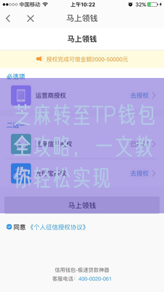 芝麻转至TP钱包全攻略，一文教你轻松实现