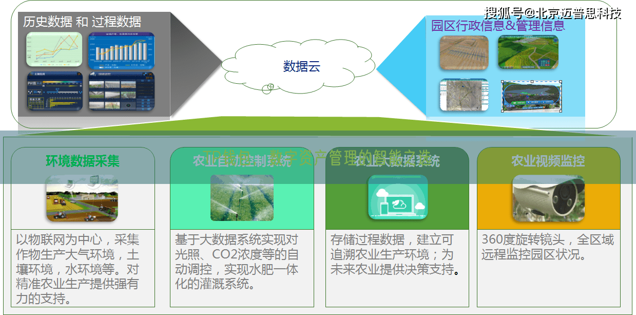 TP钱包，数字资产管理的智能之选