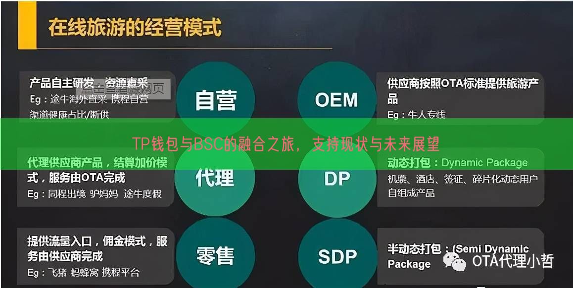 TP钱包与BSC的融合之旅，支持现状与未来展望