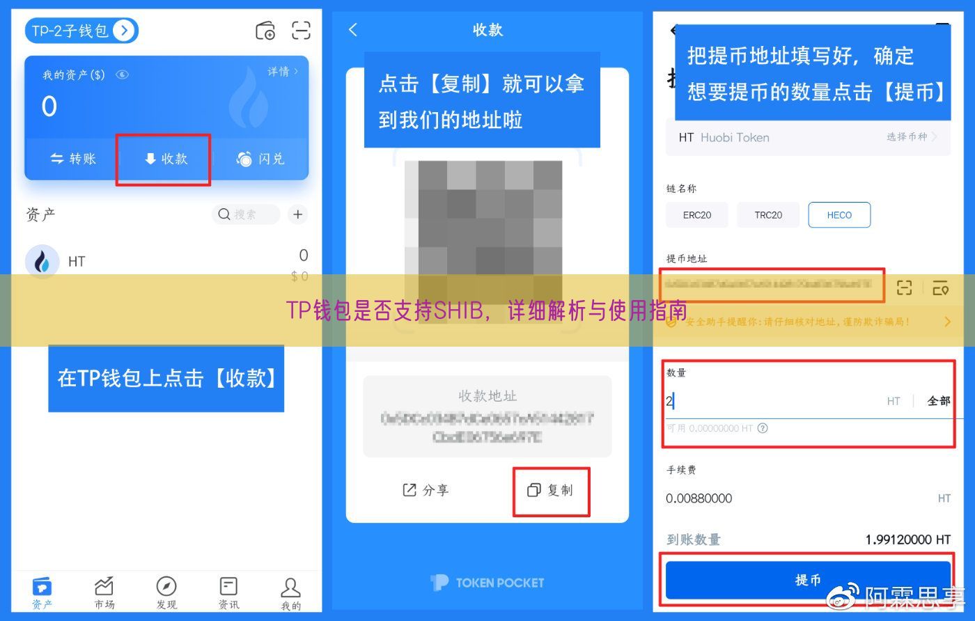 TP钱包是否支持SHIB，详细解析与使用指南