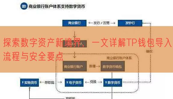 探索数字资产新境界，一文详解TP钱包导入流程与安全要点