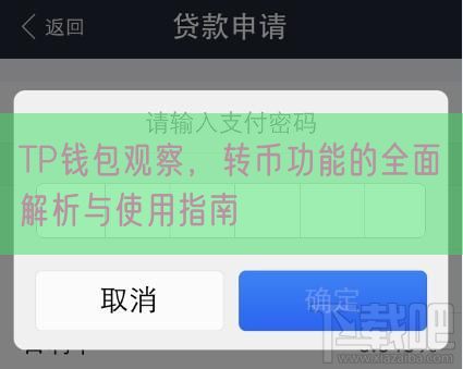 TP钱包观察，转币功能的全面解析与使用指南