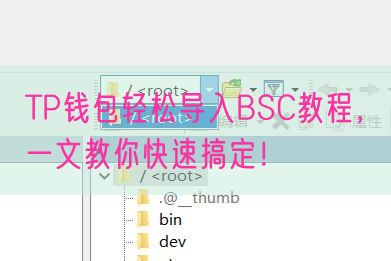 TP钱包轻松导入BSC教程，一文教你快速搞定！