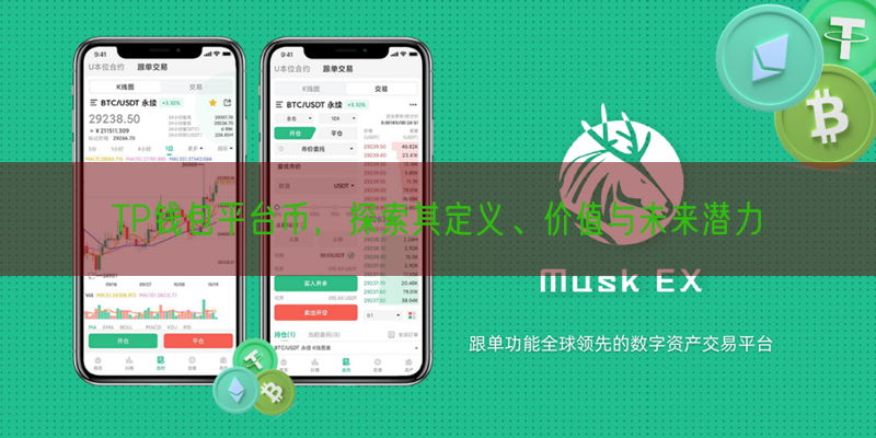 TP钱包平台币，探索其定义、价值与未来潜力