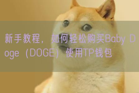 新手教程，如何轻松购买Baby Doge（DOGE）使用TP钱包