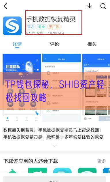 TP钱包探秘，SHIB资产轻松找回攻略