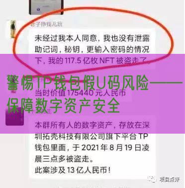 警惕TP钱包假U码风险——保障数字资产安全