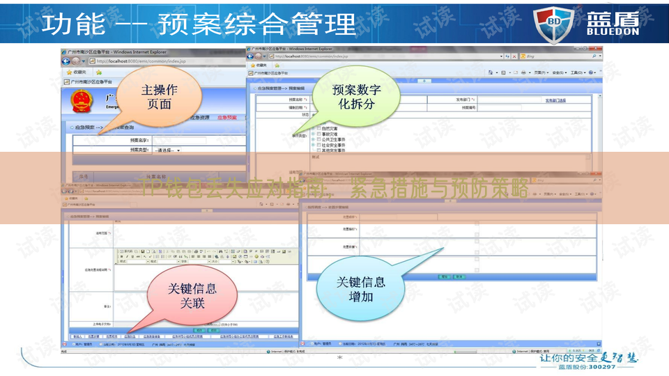 TP钱包丢失应对指南，紧急措施与预防策略