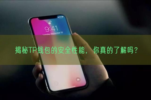 揭秘TP钱包的安全性能，你真的了解吗？