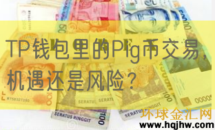 TP钱包里的Pig币交易，机遇还是风险？