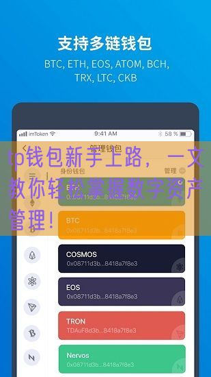 tp钱包新手上路，一文教你轻松掌握数字资产管理！