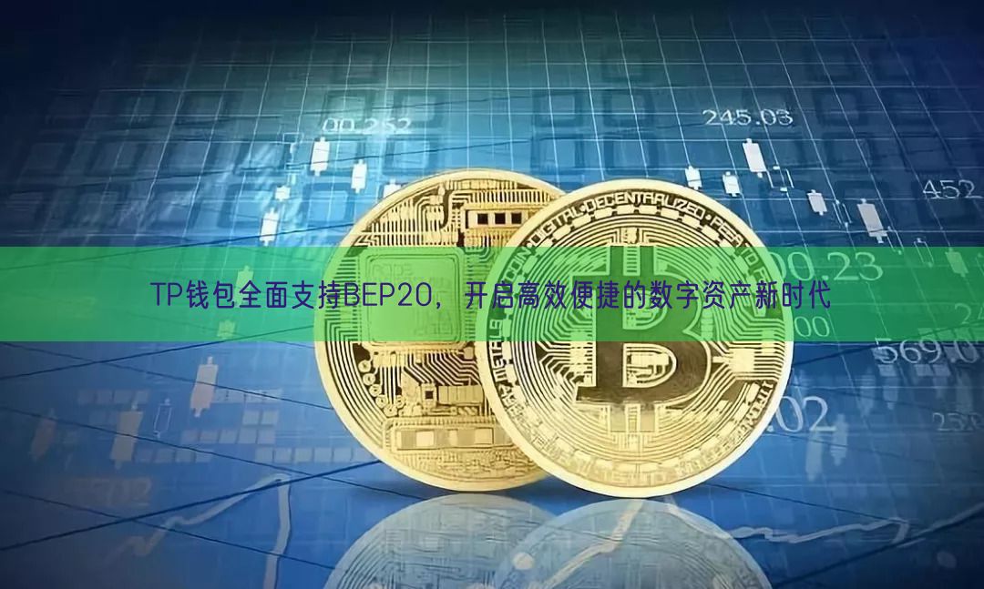 TP钱包全面支持BEP20，开启高效便捷的数字资产新时代