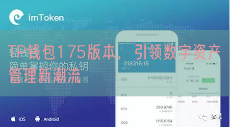TP钱包175版本，引领数字资产管理新潮流