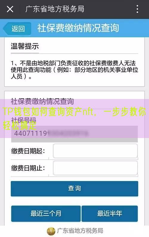 TP钱包如何查询资产nft，一步步教你轻松搞定