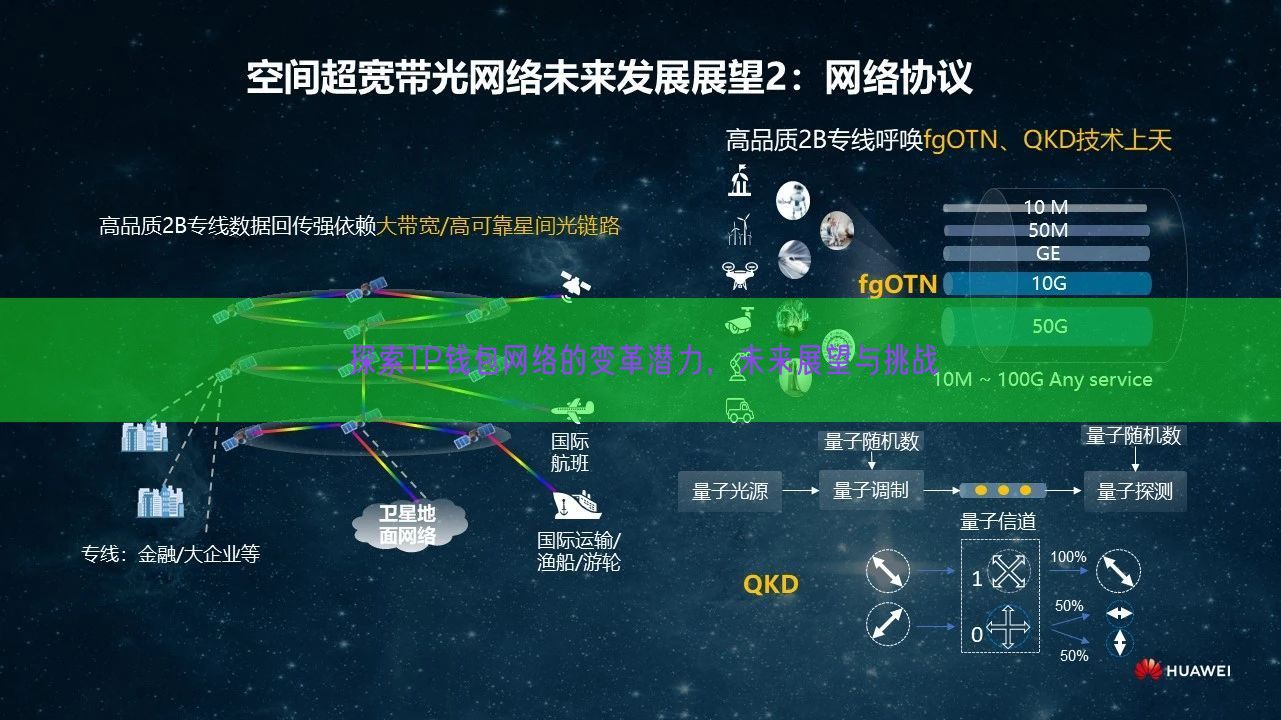 探索TP钱包网络的变革潜力，未来展望与挑战