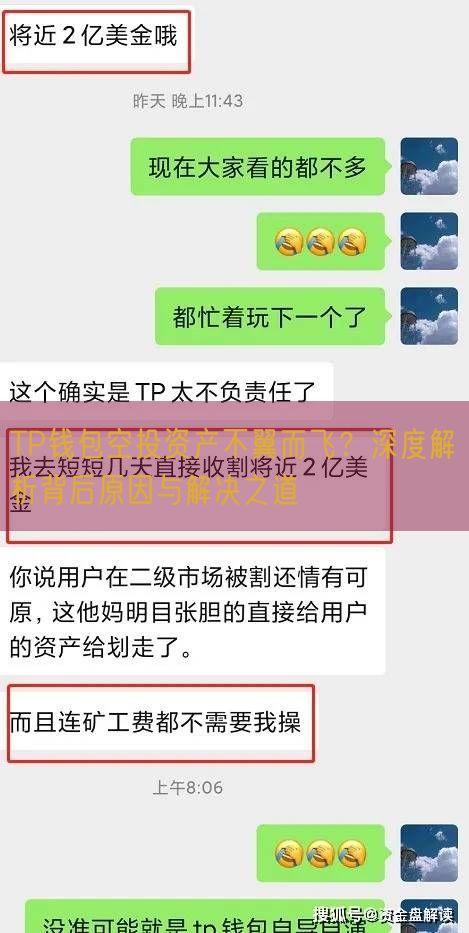 TP钱包空投资产不翼而飞？深度解析背后原因与解决之道