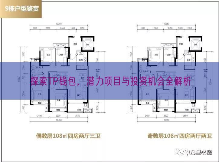 探索TP钱包，潜力项目与投资机会全解析