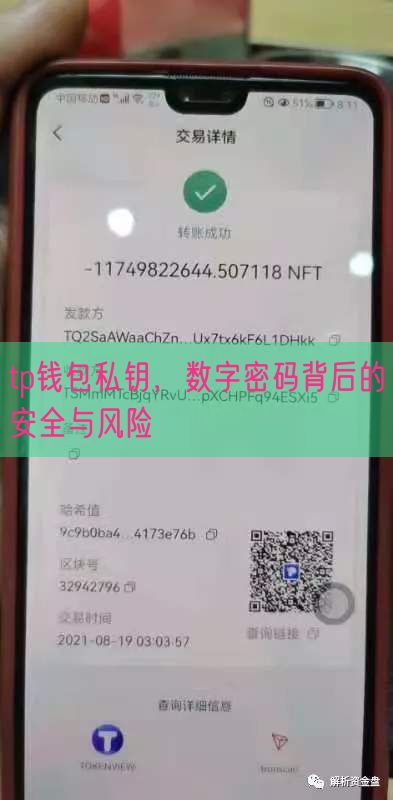 tp钱包私钥，数字密码背后的安全与风险