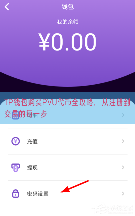 TP钱包购买PVU代币全攻略，从注册到交易的每一步