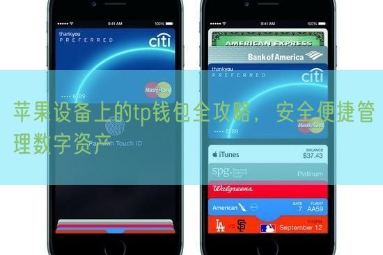 苹果设备上的tp钱包全攻略，安全便捷管理数字资产