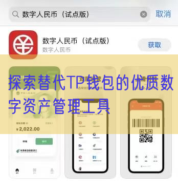 探索替代TP钱包的优质数字资产管理工具