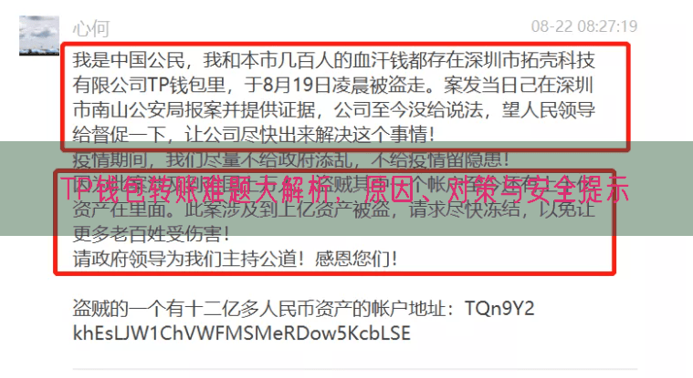 TP钱包转账难题大解析，原因、对策与安全提示